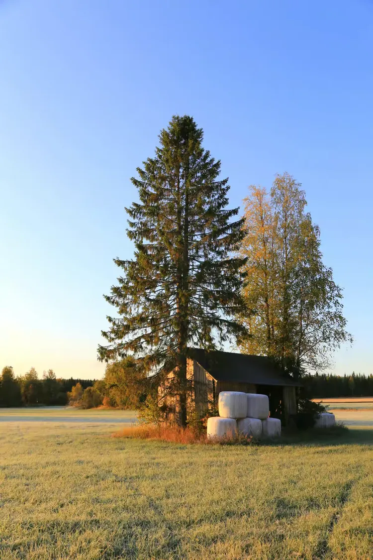 挪威战平拉脱维亚，难分高下